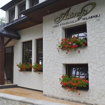 Guest House Na Pietrze كاجيمير دولنه المظهر الخارجي الصورة
